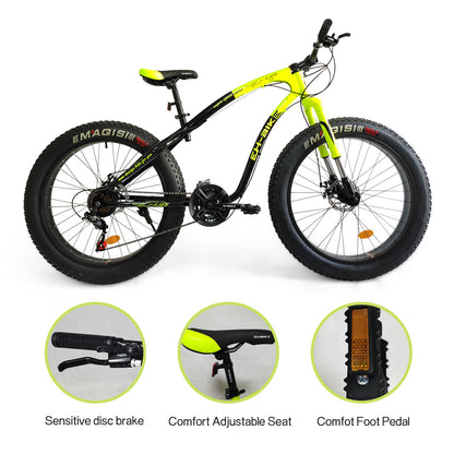 Fat Tire Off-Road Snow Bike