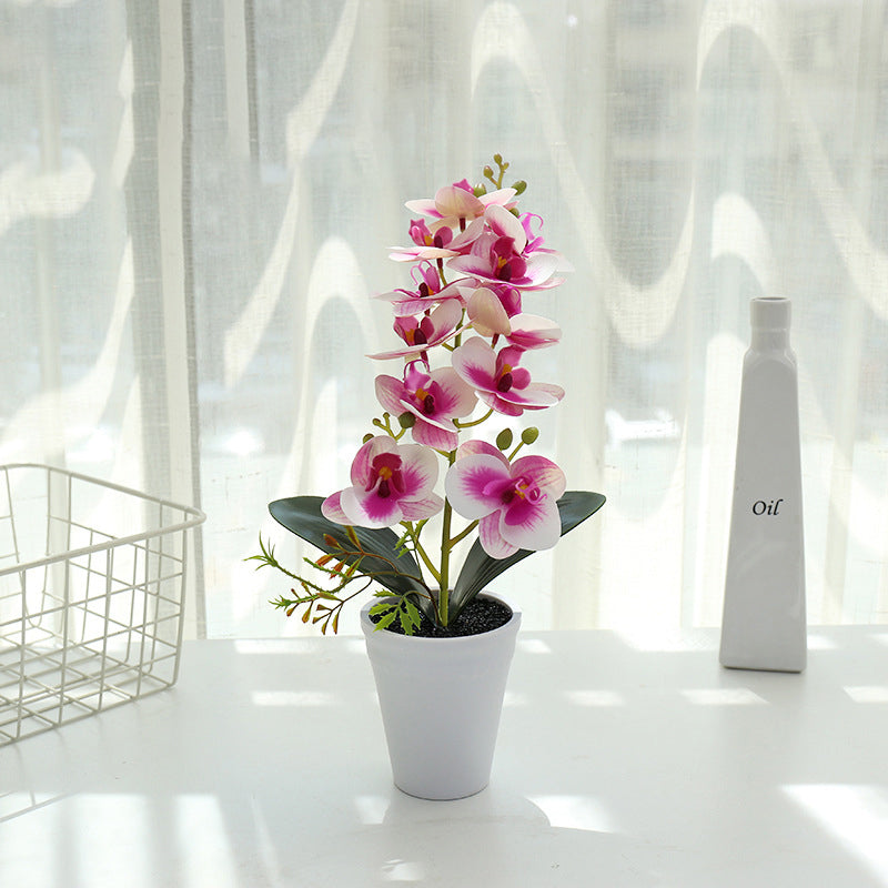 Printing Phalaenopsis Flower Bonsai Artificial Plant