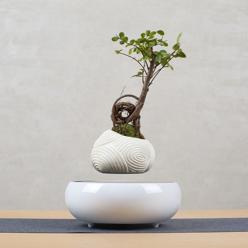 Magnetic Levitation Potted Plant