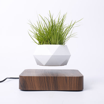 Magnetic Levitation Potted Plant