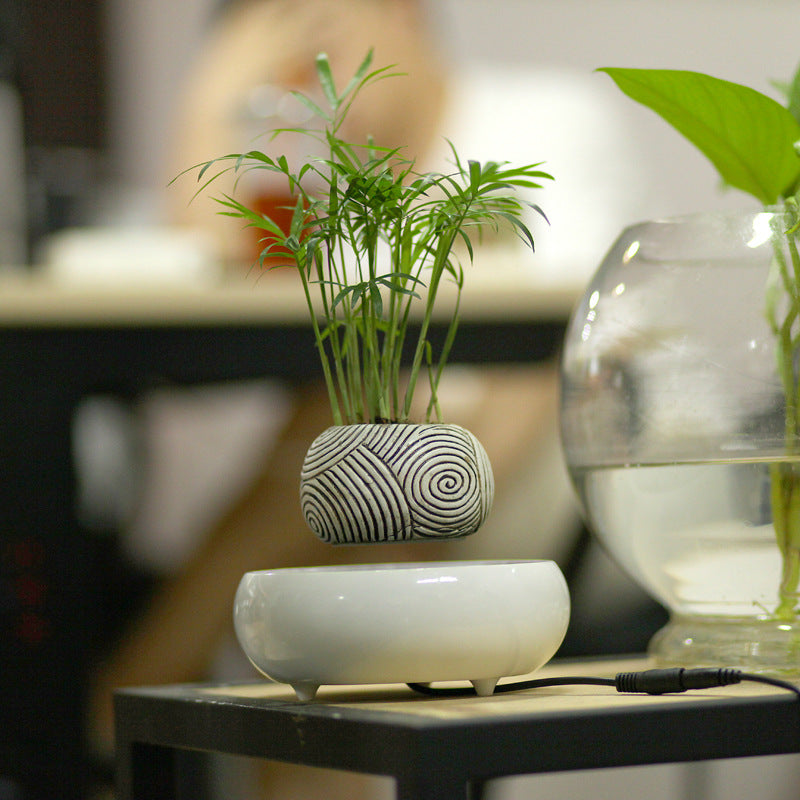 Magnetic Levitation Potted Plant