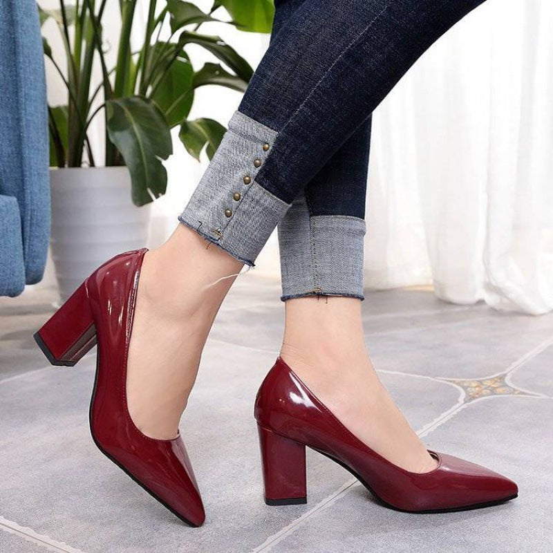 Pointed Block Heel Shoes