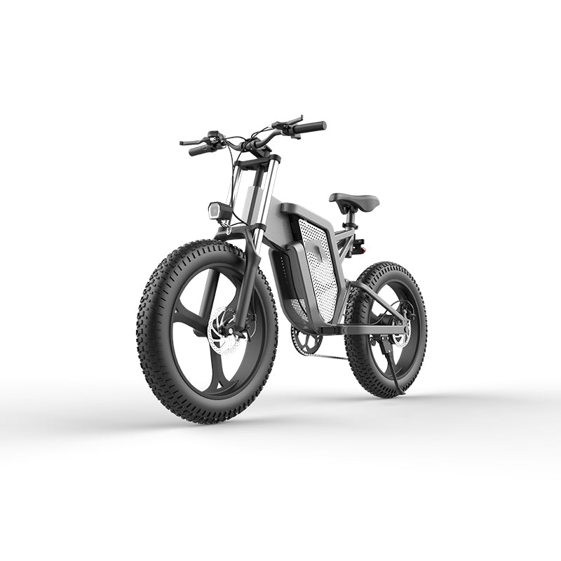 48V Electric Bicycle