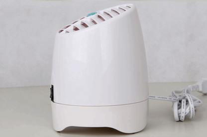 Anion air purifier