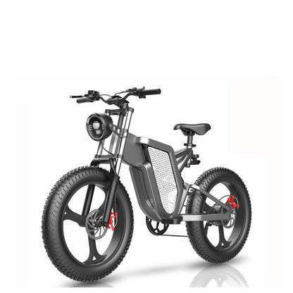 48V Electric Bicycle