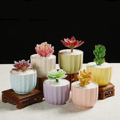 Ceramic Indoor Succulent Plant Pots