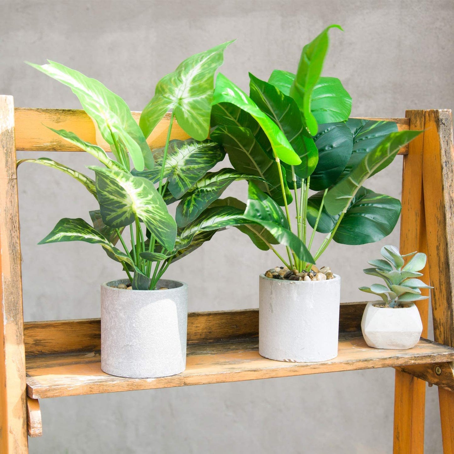 Artificial Plant for  Office Desk