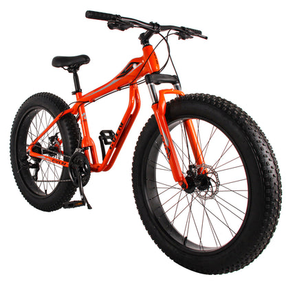 Fat Tire Bike for Mountains / Snow