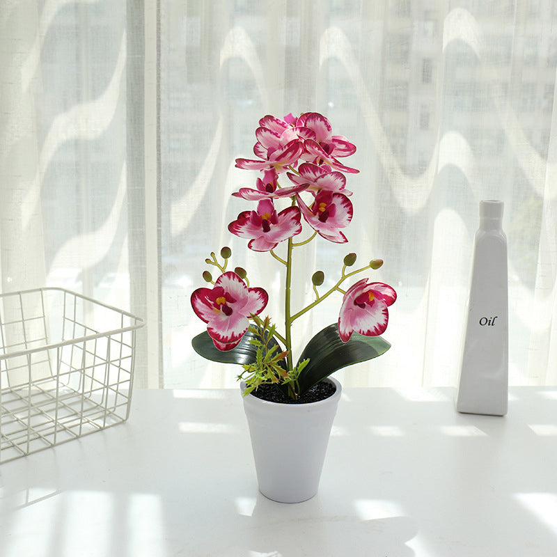 Printing Phalaenopsis Flower Bonsai Artificial Plant