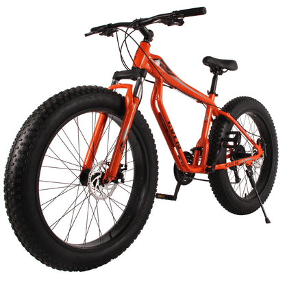 Fat Tire Bike for Mountains / Snow