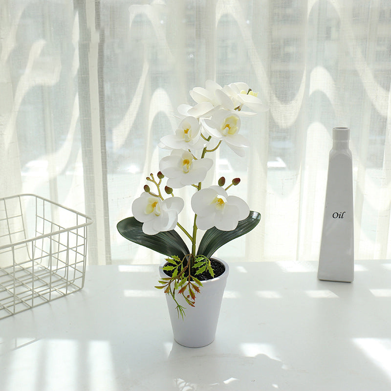 Printing Phalaenopsis Flower Bonsai Artificial Plant