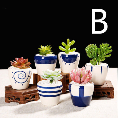 Ceramic Indoor Succulent Plant Pots