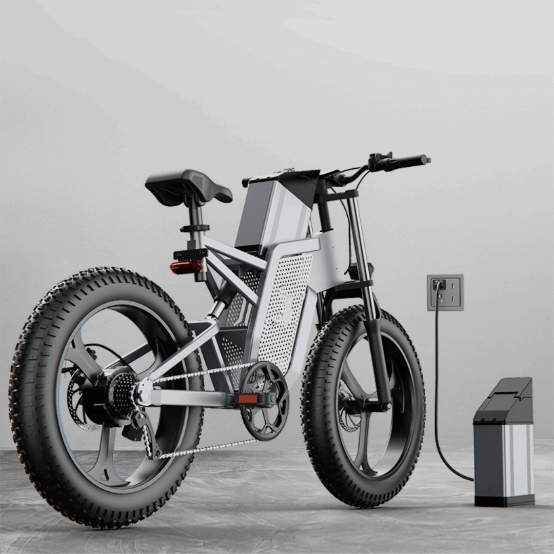 48V Electric Bicycle