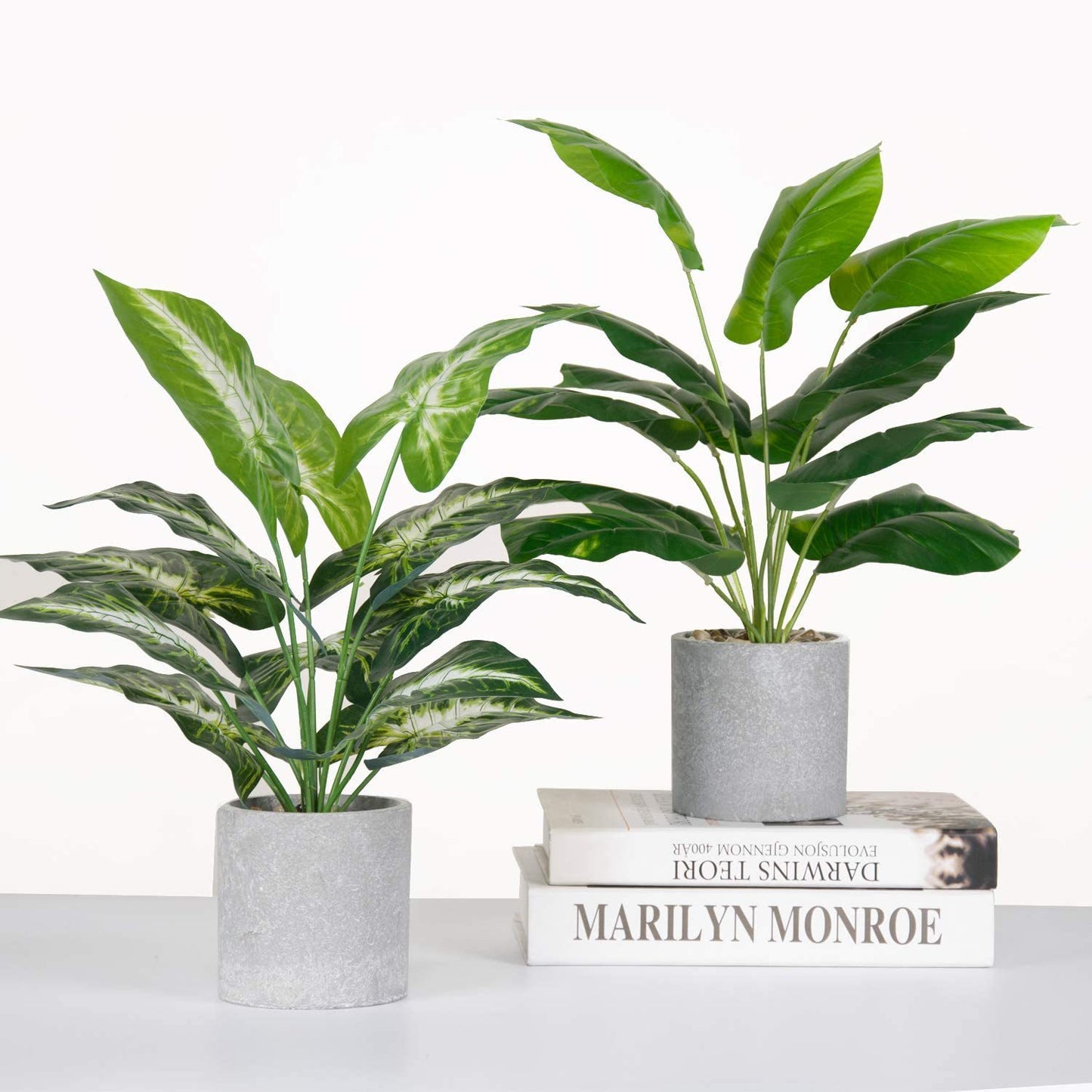 Artificial Plant for  Office Desk