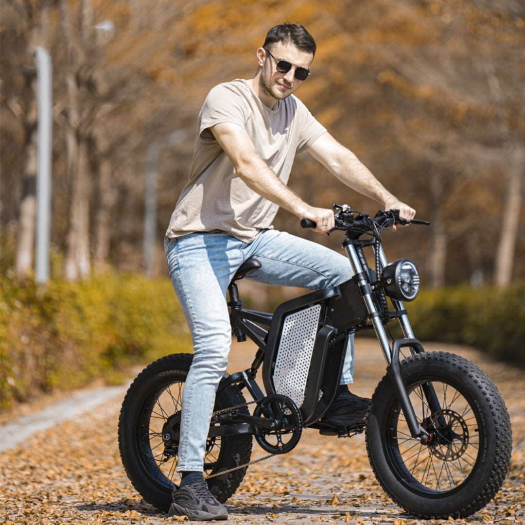 48V Electric Bicycle