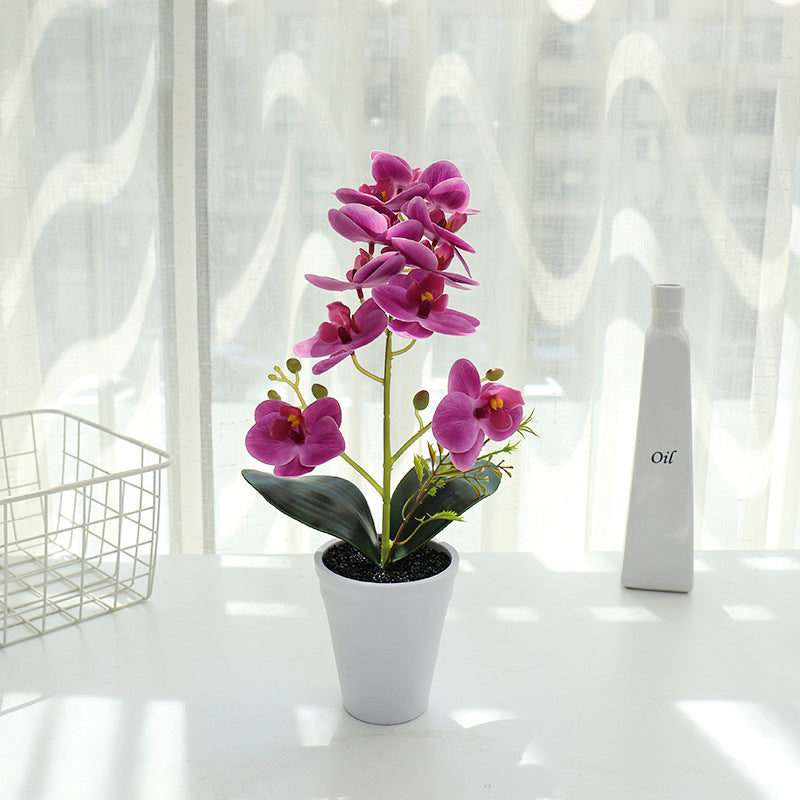 Printing Phalaenopsis Flower Bonsai Artificial Plant