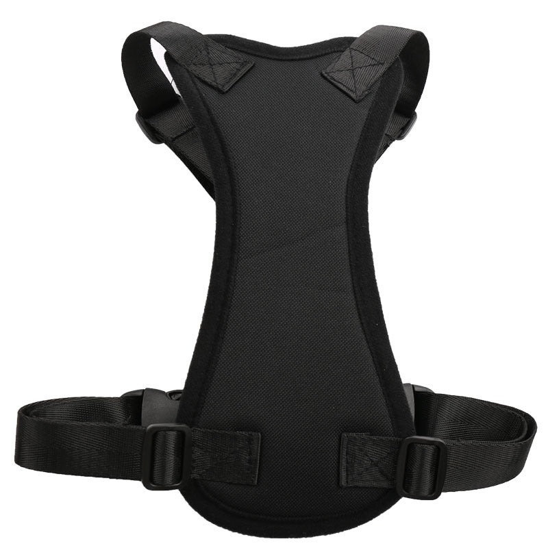 Car Seat Belt for Pets